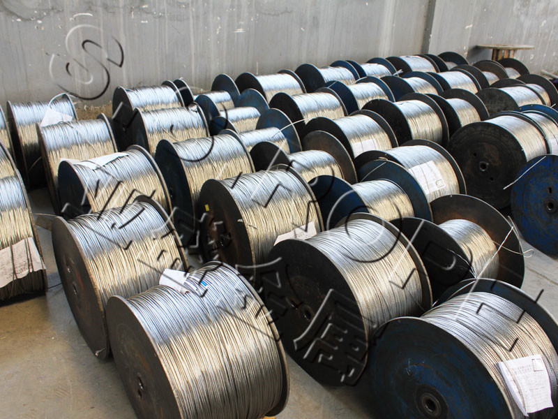 7��19�����˿��